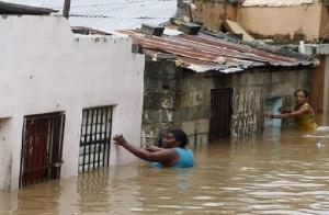 savagery and reality of sandy